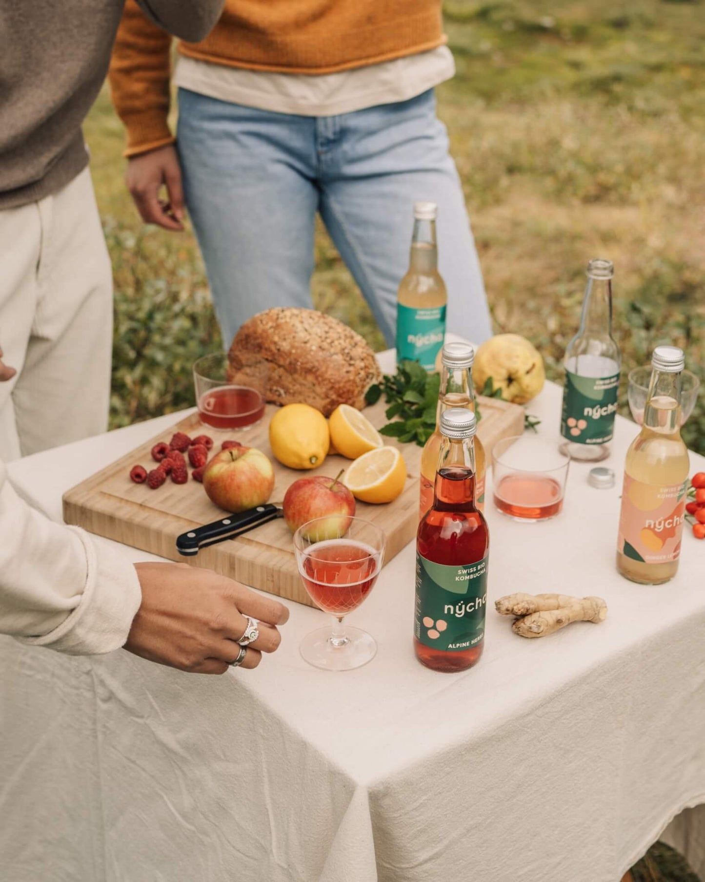 alpine herbs kombucha, organic - 16 bottles