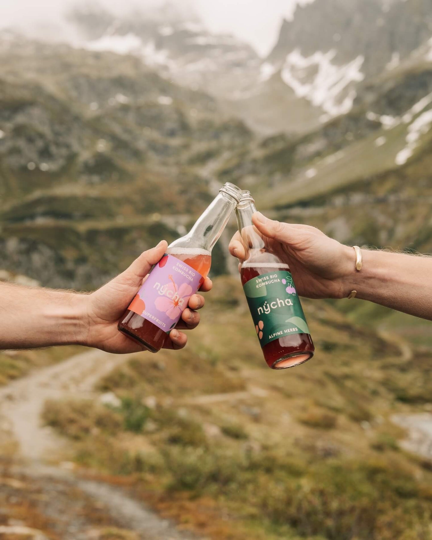 alpine herbs kombucha, organic - 16 bottles