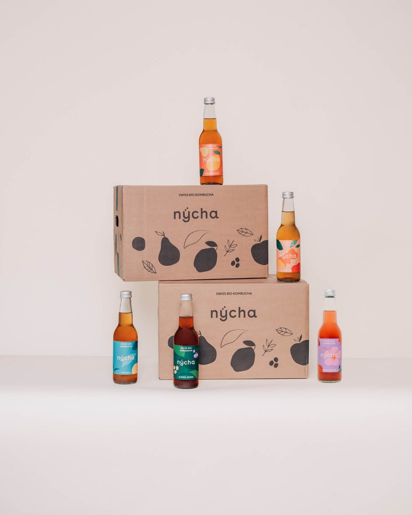 natural kombucha, organic - 24 bottles - B2B - pick up