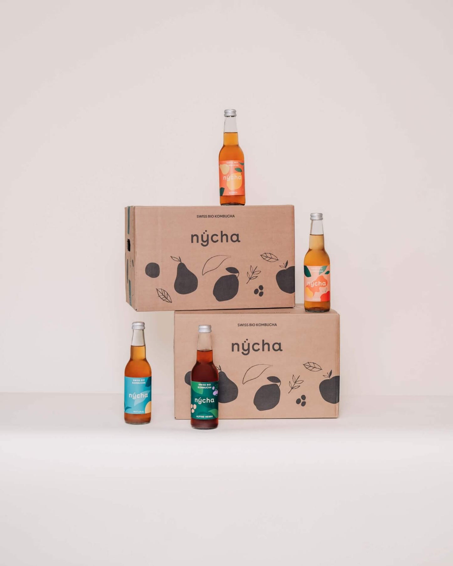 alpine herbs kombucha, bio - 24er box - B2B - pick up