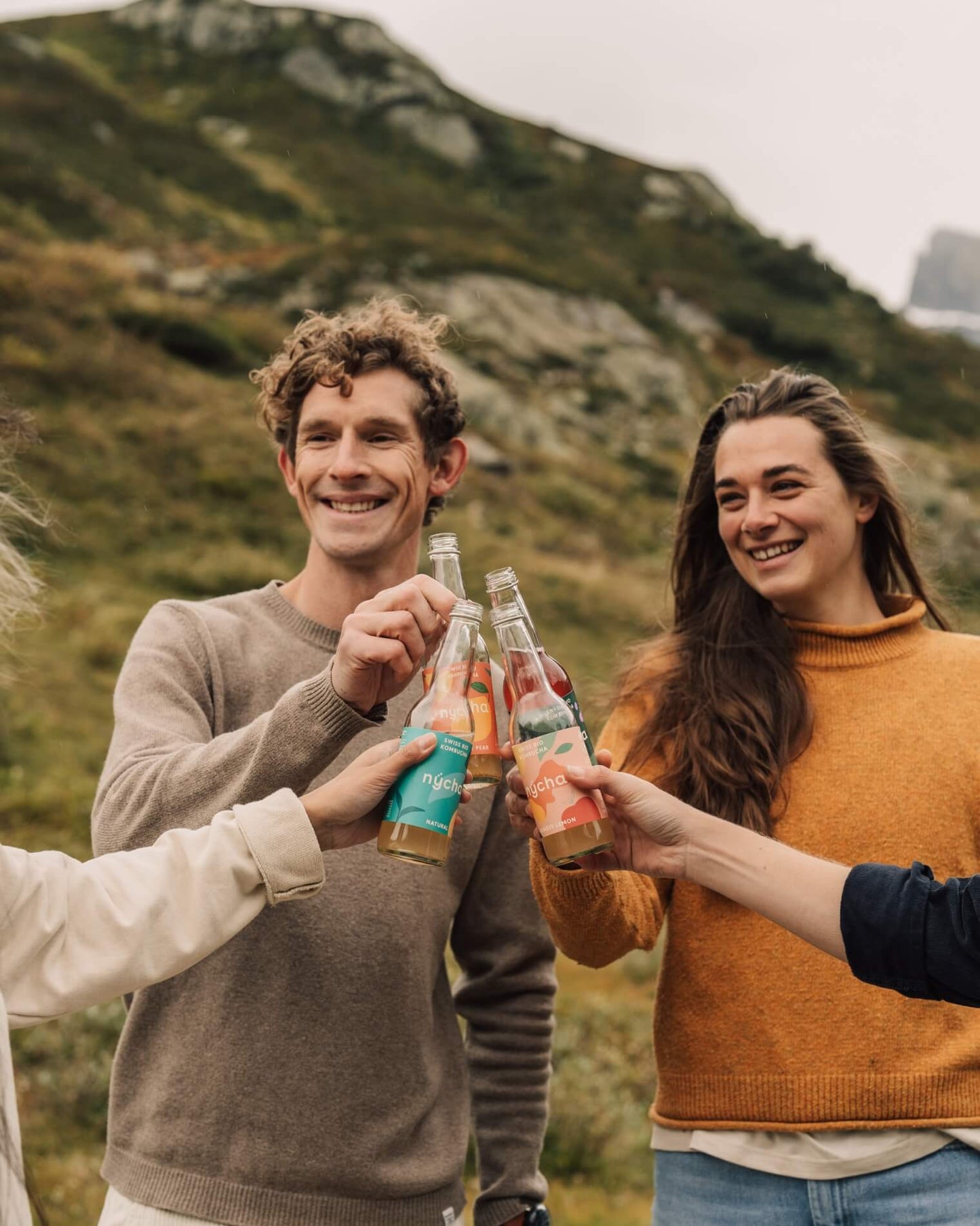 ginger kombucha, organic - 16 bottles