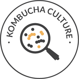 Probiotic Kombucha Culture